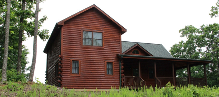 Professional Log Home Borate Application  Dickenson County, Virginia